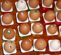 как сделать яйцо из гипса