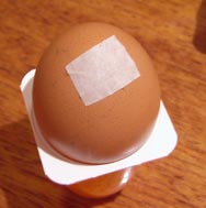 как сделать яйцо из гипса